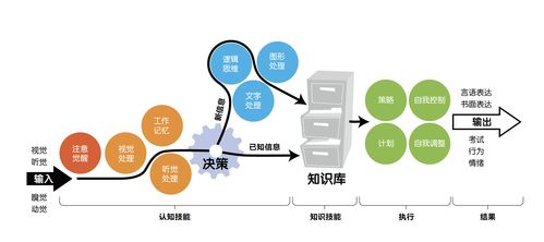 博沃思教育集团获数千万元A轮融资，清科辰光基金领投驱动大脑科学教育新纪元